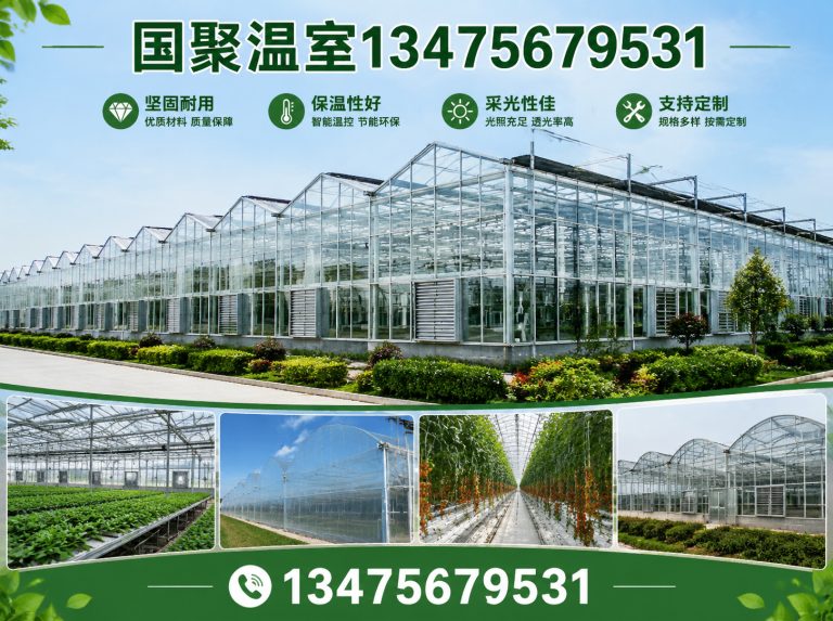 青州市连栋薄膜温室展示图