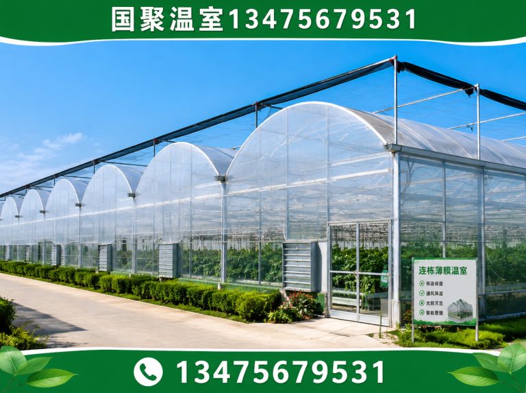 青州市温室设计施工展示图