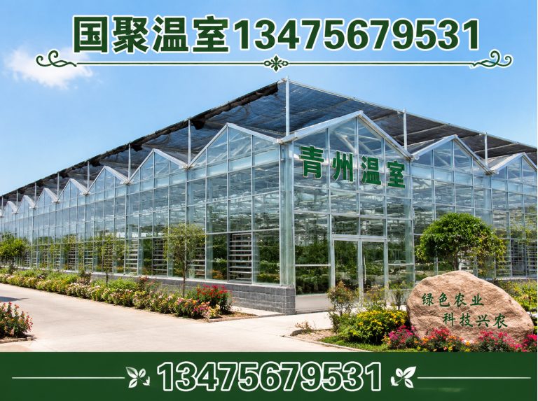 青州市农业温室工程展示图